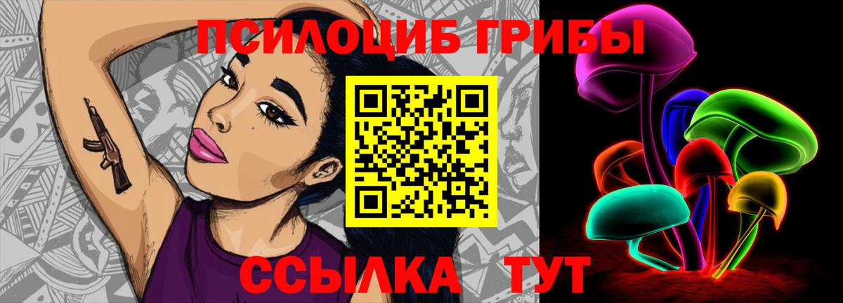 Галлюциногенные грибы Psilocybe Еманжелинск